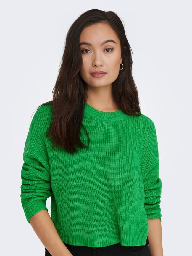 Vibrant Winter Pullovers for Her